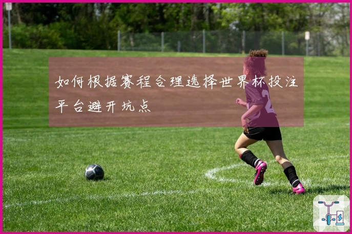 如何根据赛程合理选择世界杯投注平台避开坑点