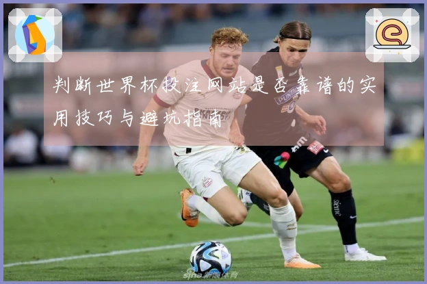 判断世界杯投注网站是否靠谱的实用技巧与避坑指南