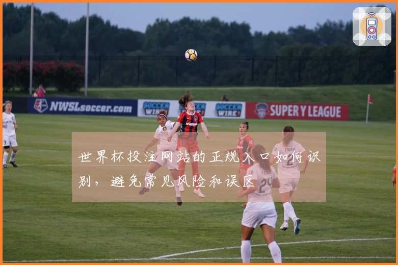 世界杯投注网站的正规入口如何识别，避免常见风险和误区